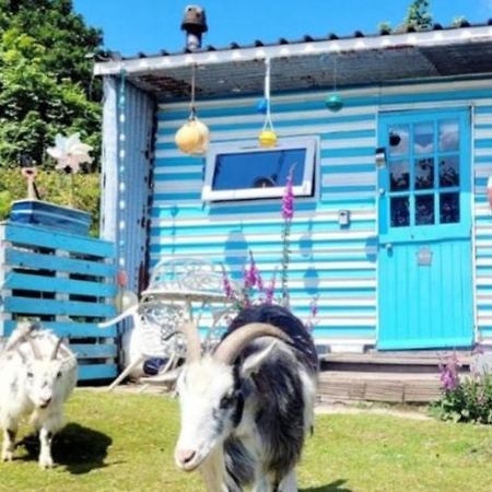 Treguth Glamping Unique Experience - Themed Huts Hotel Saint Day Екстериор снимка