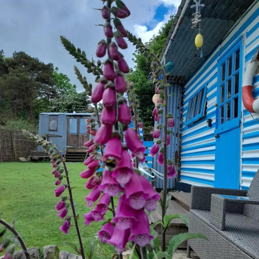 Treguth Glamping Unique Experience - Themed Huts Hotel Saint Day Екстериор снимка