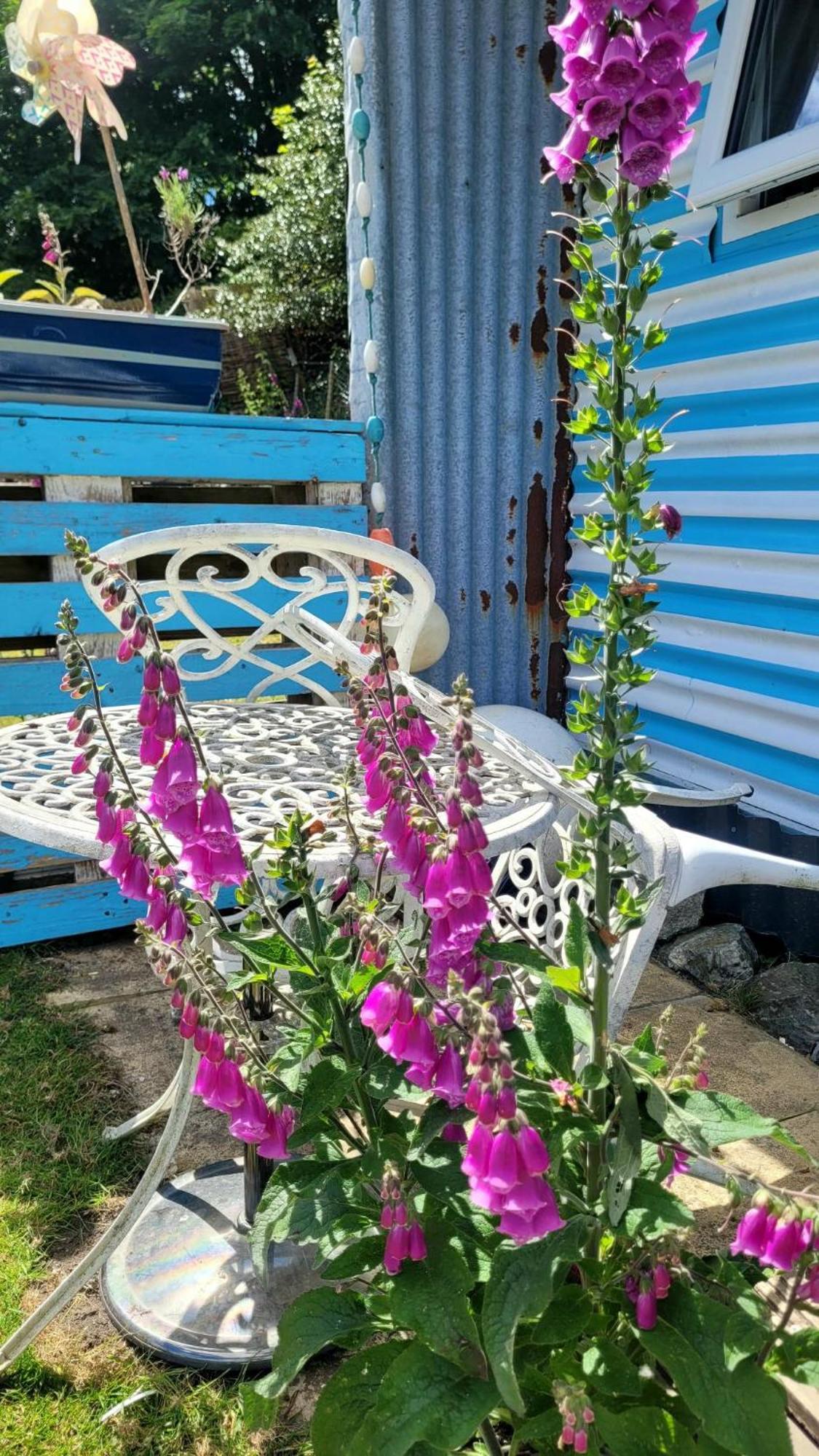 Treguth Glamping Unique Experience - Themed Huts Hotel Saint Day Екстериор снимка