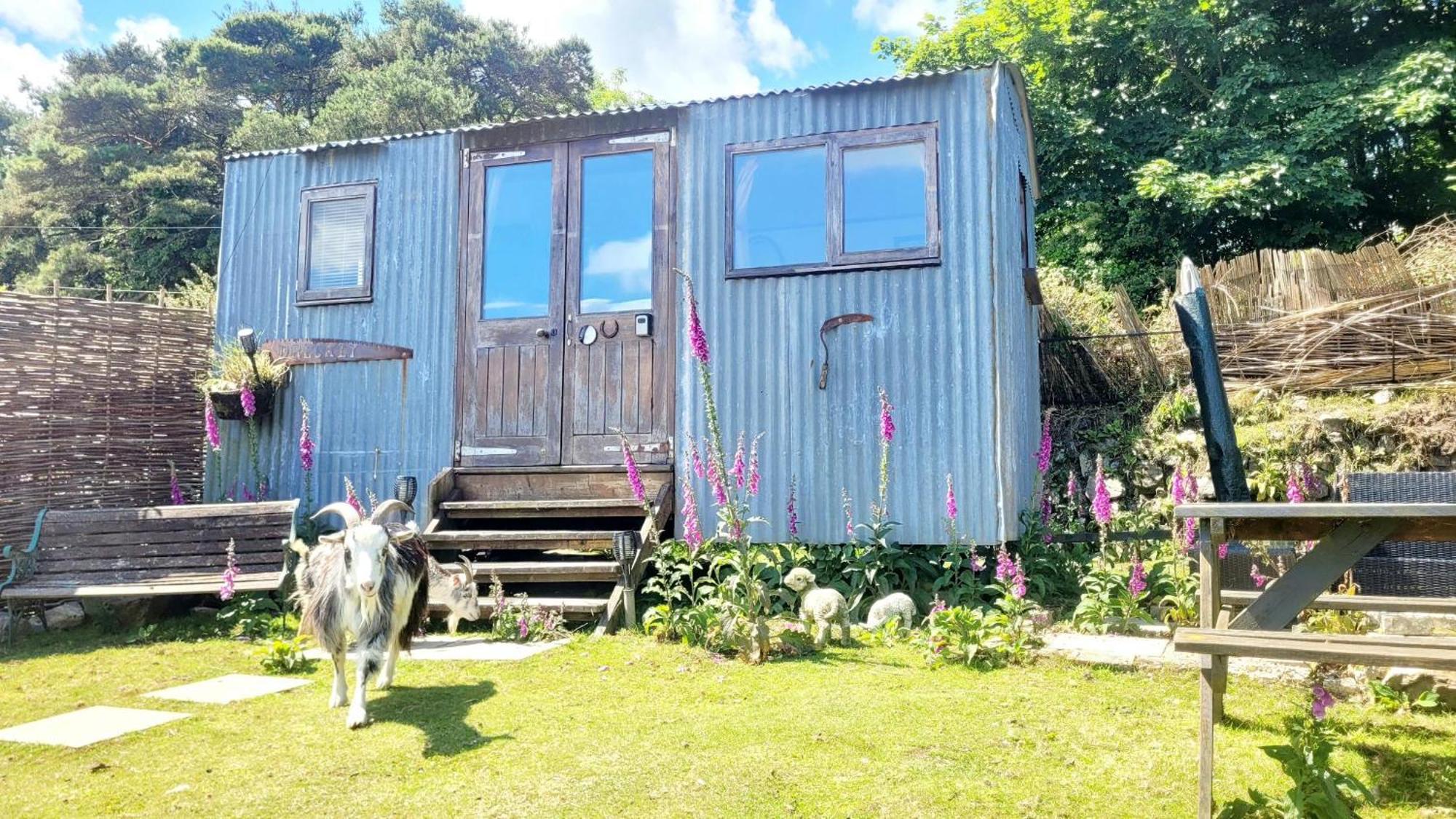 Treguth Glamping Unique Experience - Themed Huts Hotel Saint Day Екстериор снимка