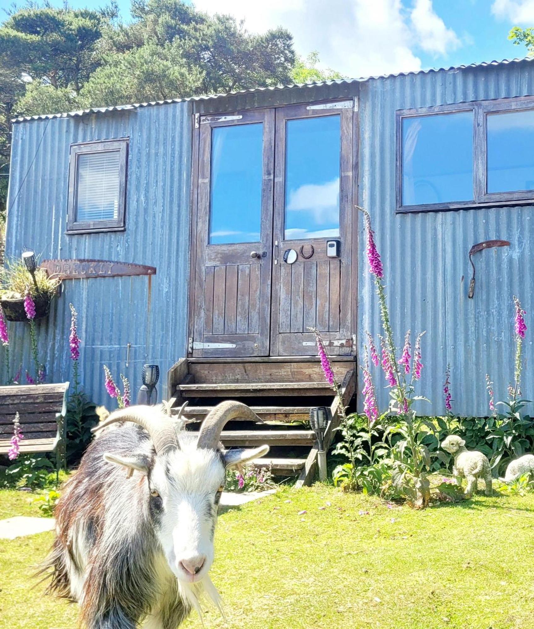Treguth Glamping Unique Experience - Themed Huts Hotel Saint Day Екстериор снимка