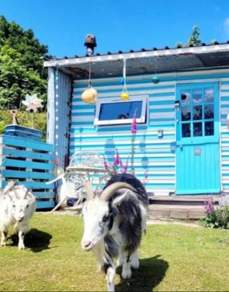 Treguth Glamping Unique Experience - Themed Huts Hotel Saint Day Екстериор снимка